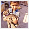 AnimalHero